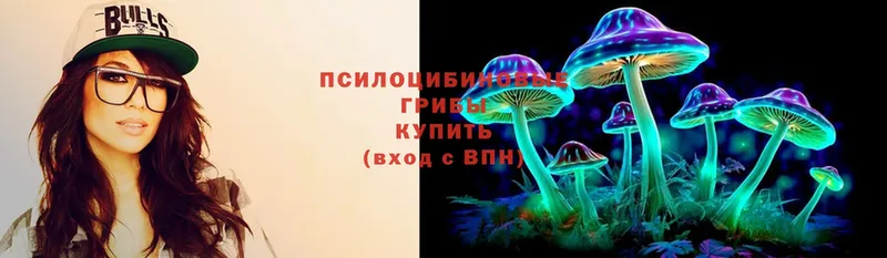 Псилоцибиновые грибы Cubensis Вышний Волочёк